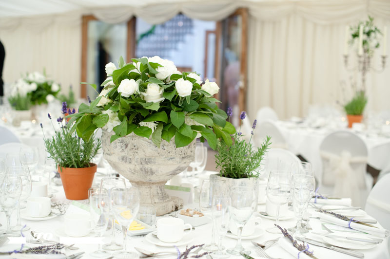 coltsfoot country retreat: white roses centerpiece