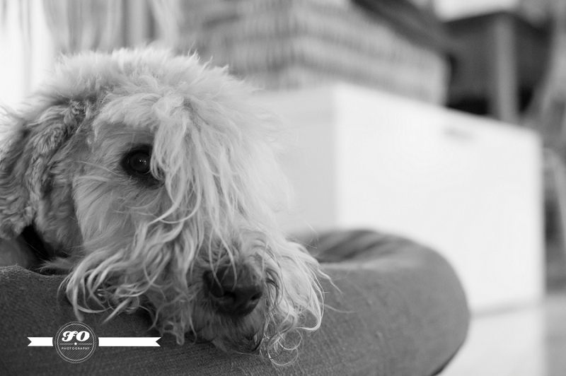 Lori-Ann Claerhout-8_Image by FO Photography