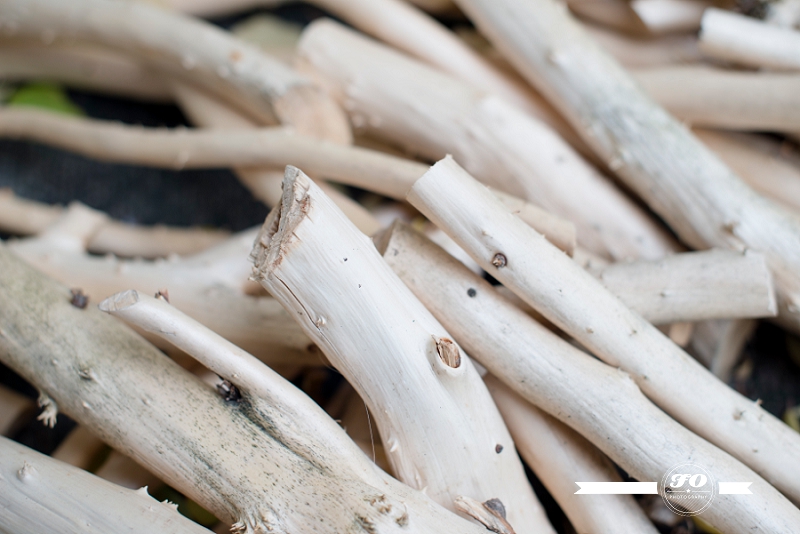 Karen Unland-30_Image by FO Photography