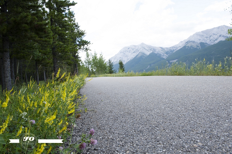 Delta Lodge Kananaskis-60