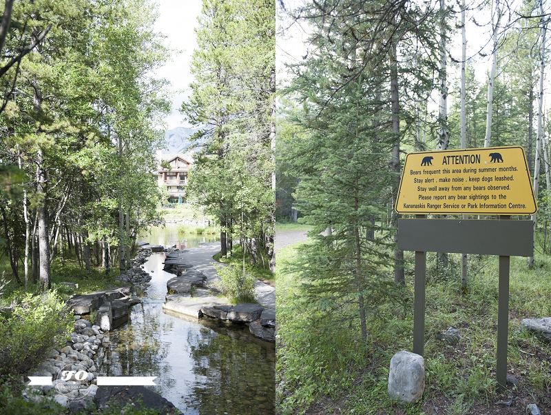 Delta Lodge at Kananaskis-48