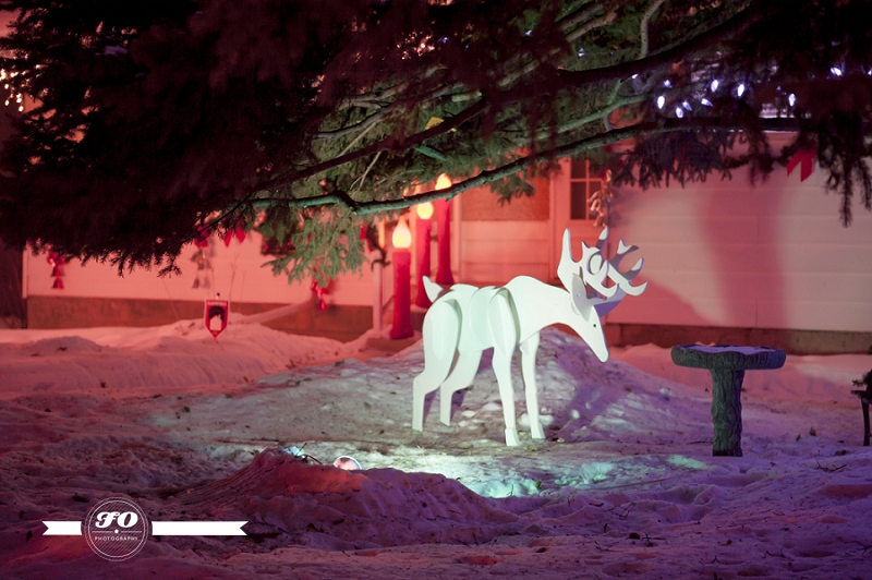 edmonton christmas traditions photographers, candy cane lane edmonton (16)