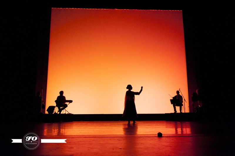 usha gupta dance entourage, aalaap, brian webb dance company, prairie dance circuit (2)