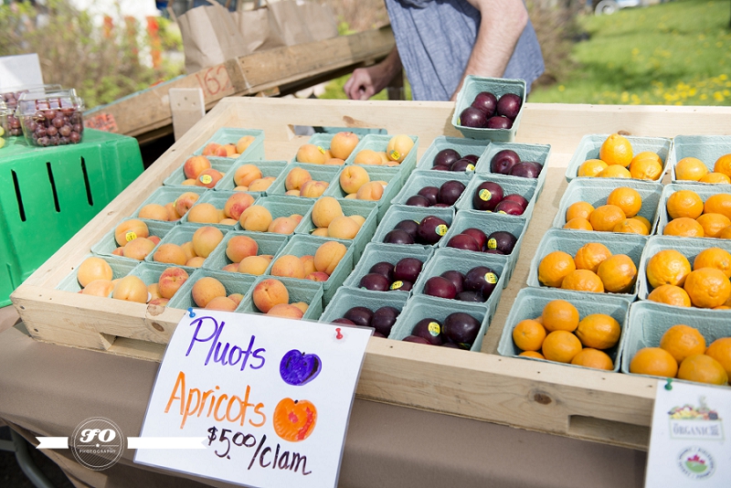 edmonton event photographers, alberta world fit for children, vintage carnival, sunday funday, the misery mountain boys, Justine Ann Vandergrift, Dennis Bouwman. (21)