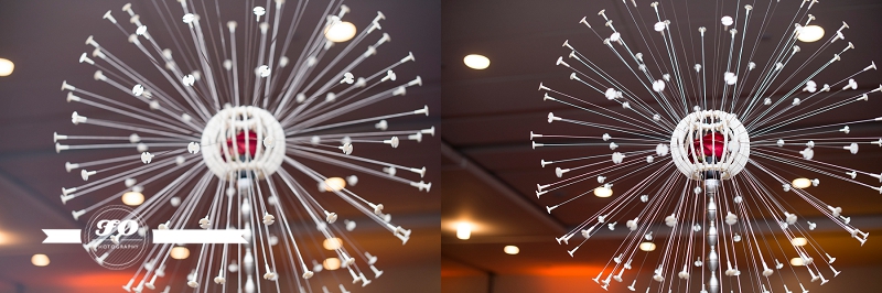 ID Bohemia-15_collage