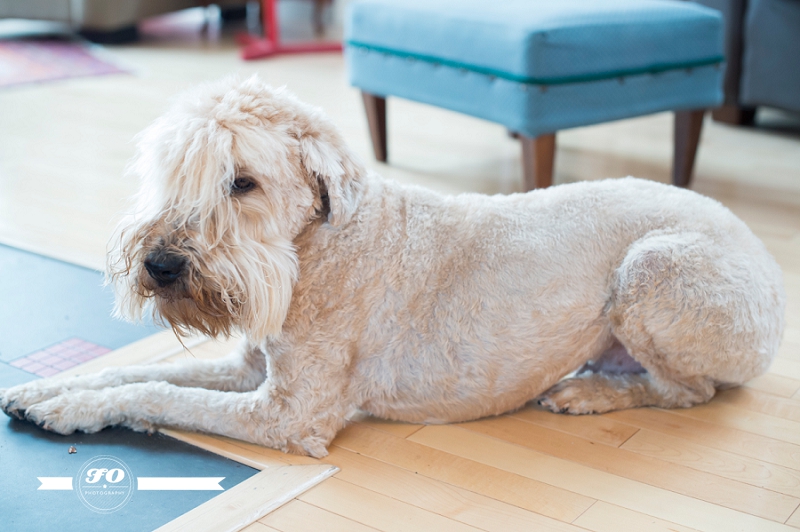 Lori-Ann Claerhout-36_Image by FO Photography