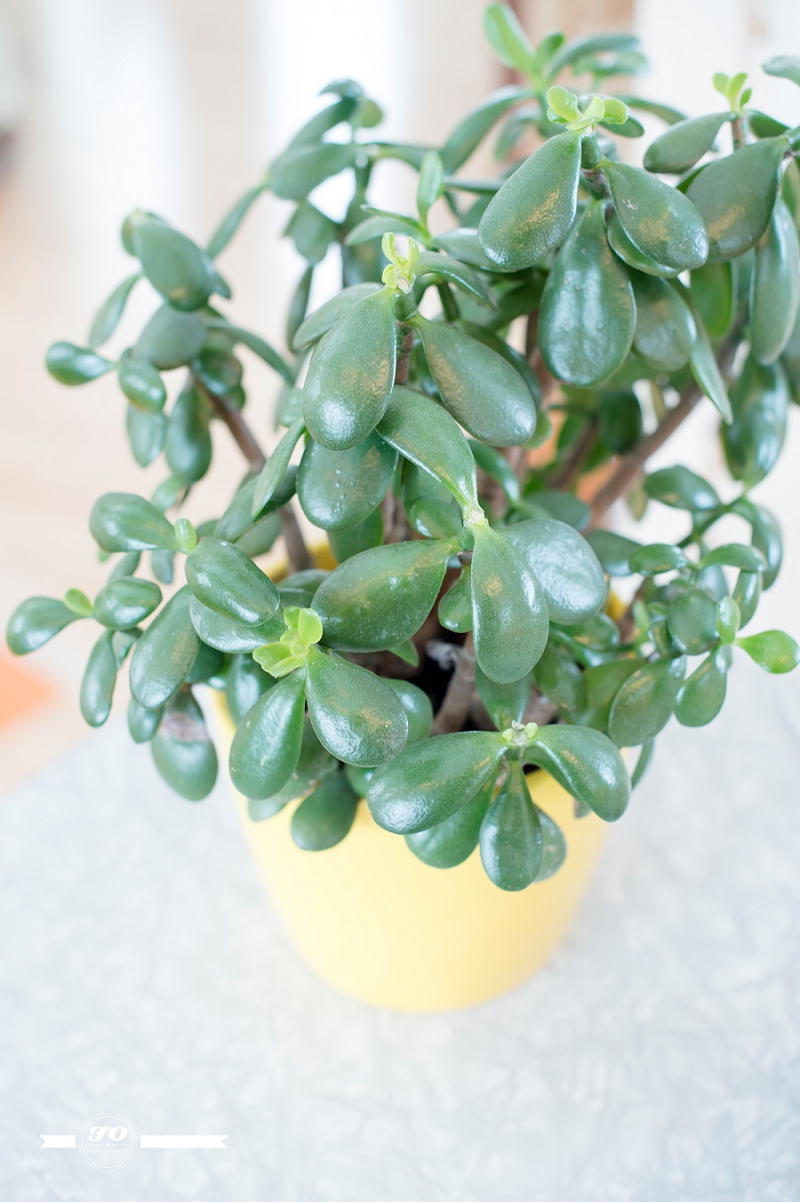 Lori-Ann Claerhout-77_Image by FO Photography