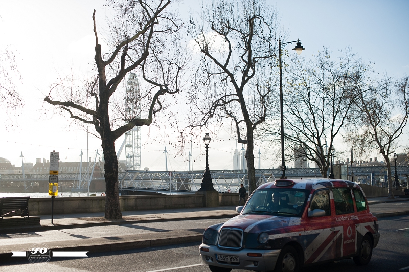 London calling | Leisurely sightings