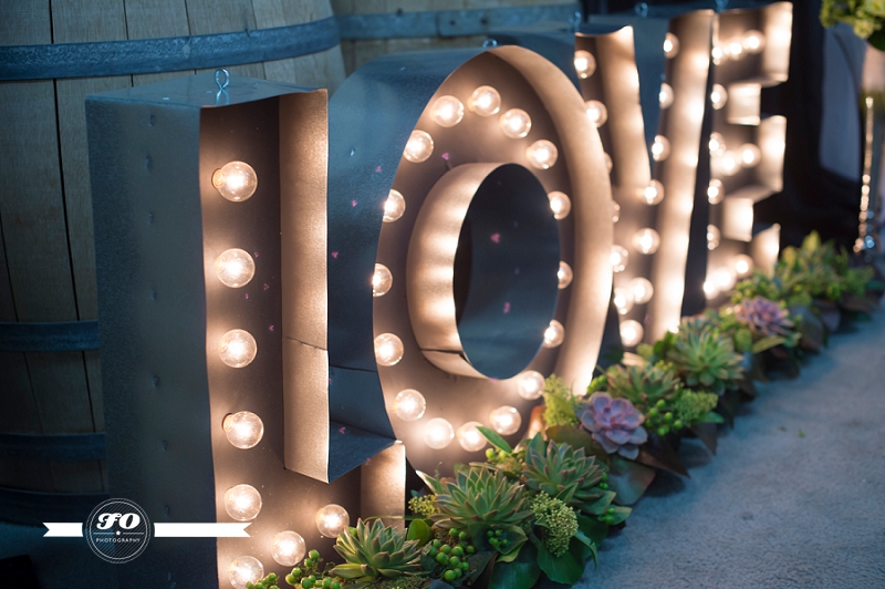 How to use Marsala, Succulents and marquee lights in your Edmonton wedding