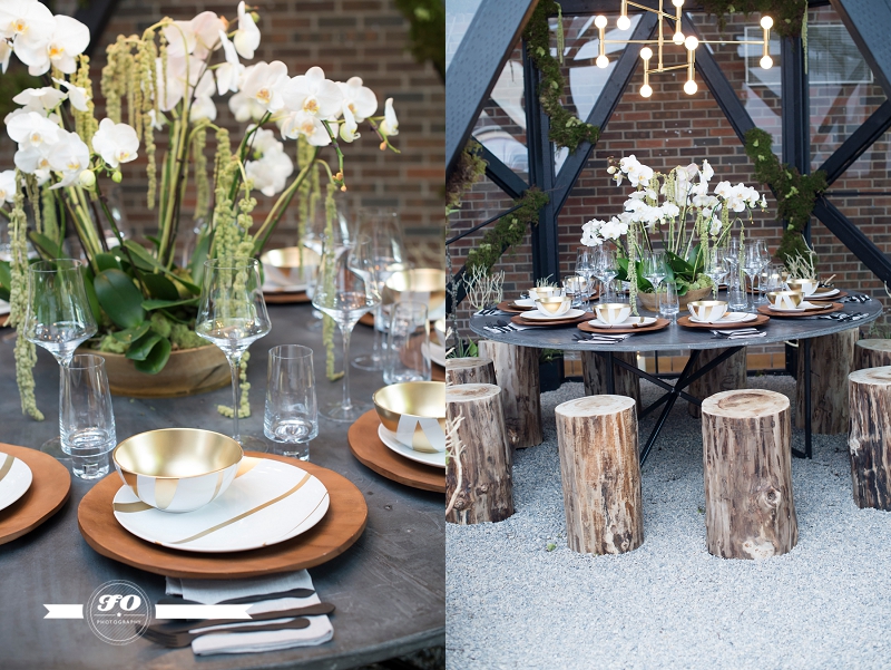 Verdant Vivarium – Alykhan Velji Designs