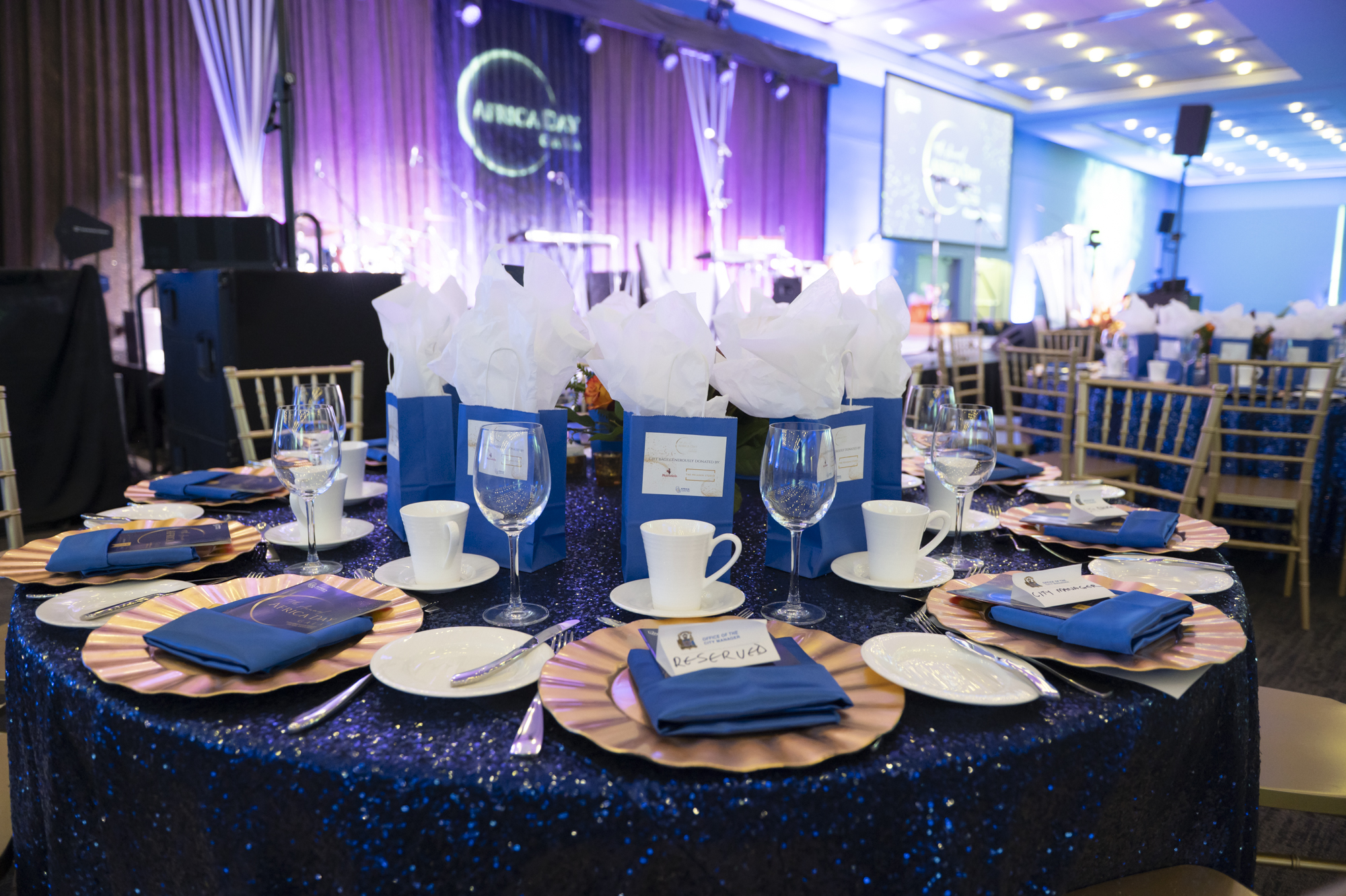 Africa Day Gala 2025